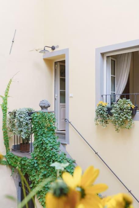 Corte Paolina - Charming Courtyard Inside Lucca Exterior photo