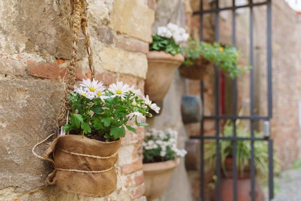Corte Paolina - Charming Courtyard Inside Lucca Exterior photo